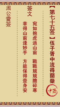 677055b5216b7.png 75.png