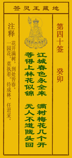 67cc6b1c2960c.jpg 40.jpg